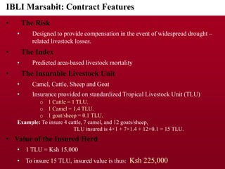 Implementing IBLI in Northern Kenya and investigating feasibility in Southern Ethiopia