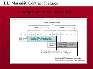 Implementing IBLI in Northern Kenya and investigating feasibility in Southern Ethiopia