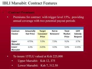 Implementing IBLI in Northern Kenya and investigating feasibility in Southern Ethiopia