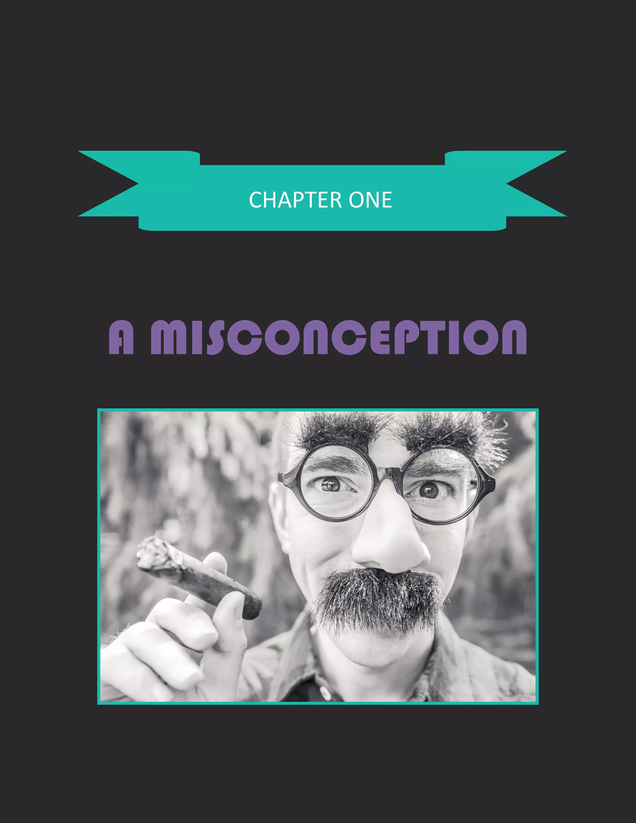 CHAPTER ONE
A MISCONCEPTION
 
