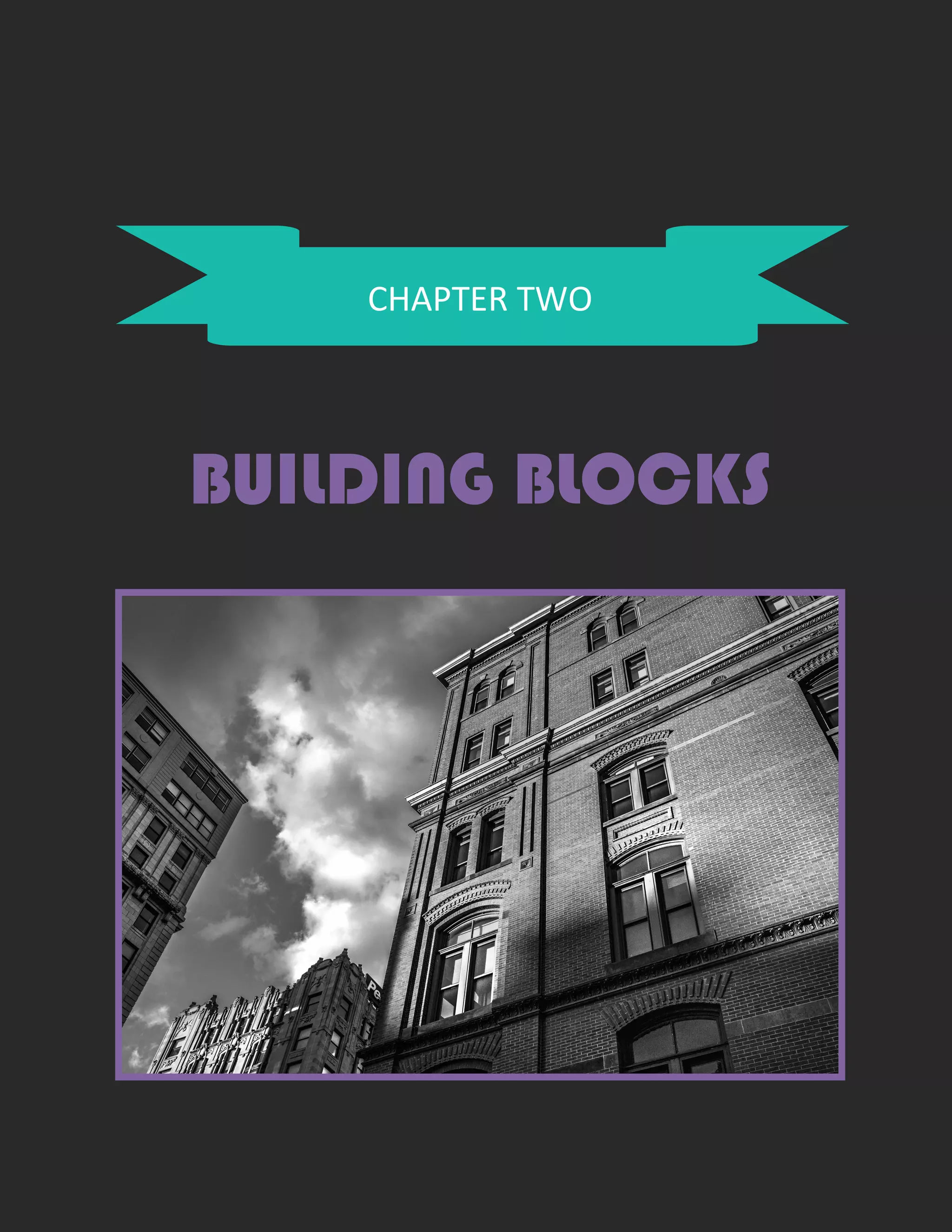 CHAPTER TWO
BUILDING BLOCKS
 