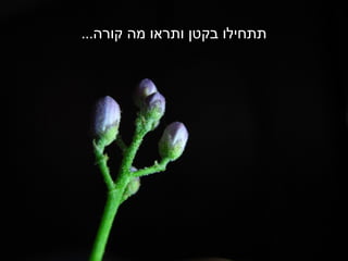 ‫תתחילו בקטן ותראו מה קורה...‬
 