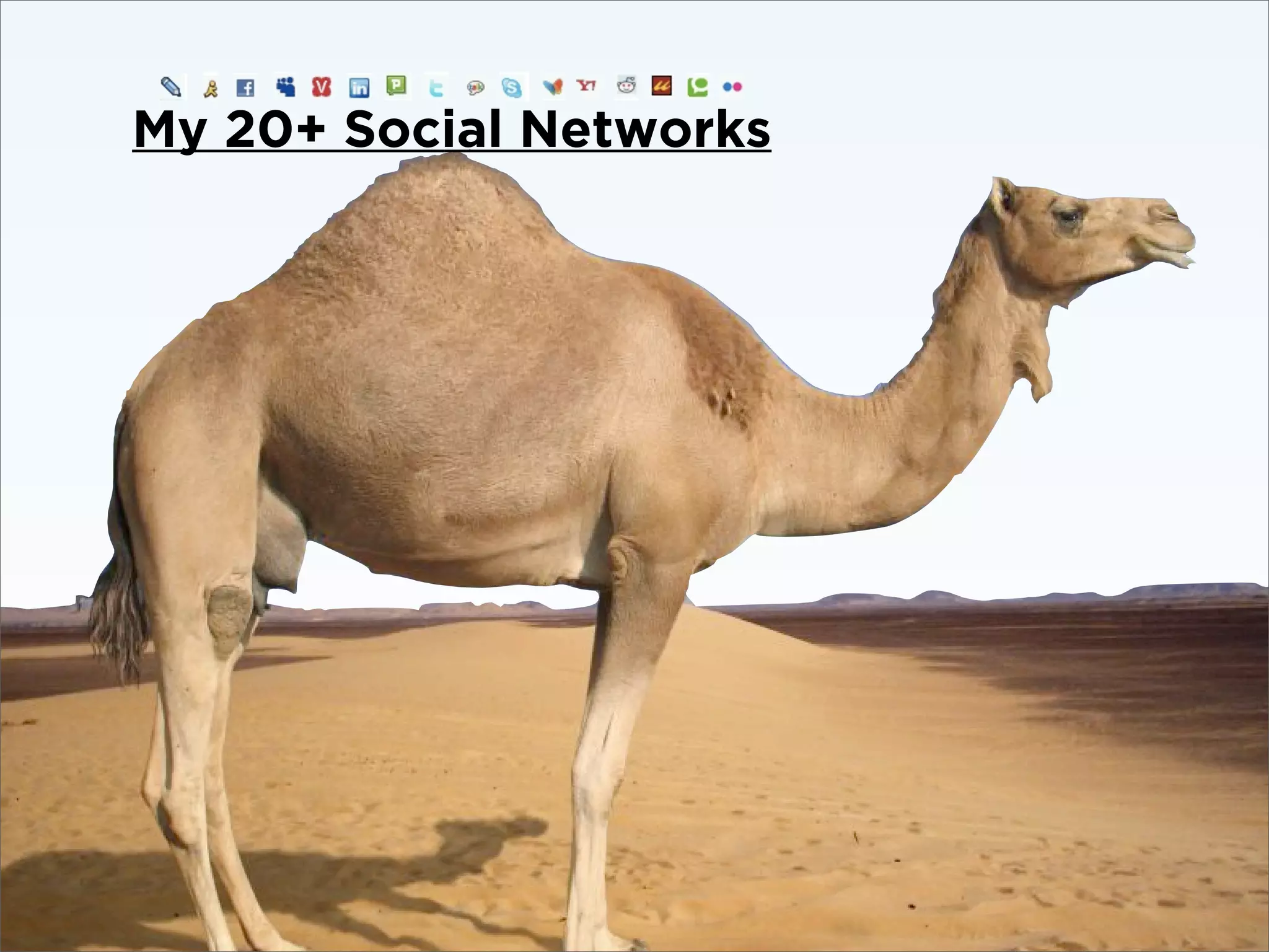 Implementing The Social Web - Fowa Miami 2009