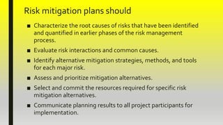 Implementing Ways to Limit Risk (Risk Mitigation) | PPTX