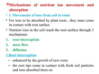 Root Interception Implementing plant nutrition program and fertigation equipment's | PPTX