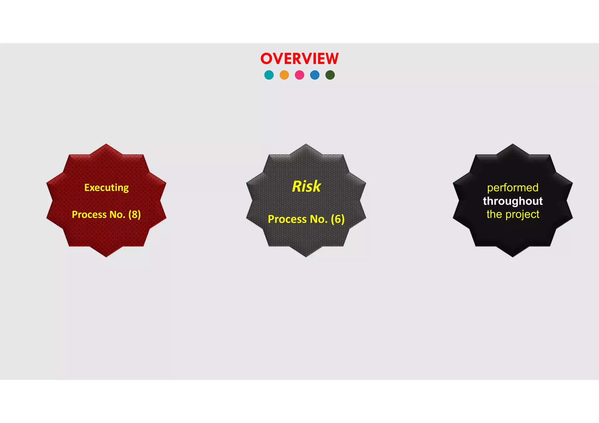OVERVIEW
Risk
Process No. (6)
performed
throughout
the project
Executing
Process No. (8)
 