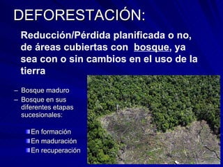 DEFORESTACIÓN: Bosque maduro Bosque en sus diferentes etapas sucesionales:  En formación En maduración En recuperación Reducción/Pérdida planificada o no, de áreas cubiertas con  bosque , ya sea con o sin cambios en el uso de la tierra 