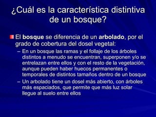 ¿Cuál es la característica distintiva de un bosque? El  bosque  se diferencia de un  arbolado , por el grado de cobertura del dosel vegetal:  En un bosque las ramas y el follaje de los árboles distintos a menudo se encuentran, superponen y/o se entrelazan entre ellos y con el resto de la vegetación, aunque pueden haber huecos permanentes o temporales de distintos tamaños dentro de un bosque Un arbolado tiene un dosel más abierto, con árboles más espaciados, que permite que más luz solar llegue al suelo entre ellos 