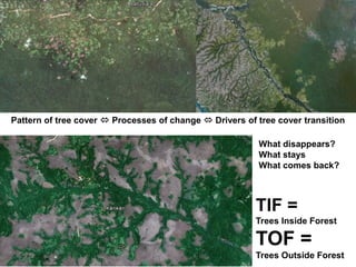 Implications for sparing, sharing and caring