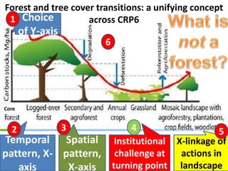 Implications for sparing, sharing and caring