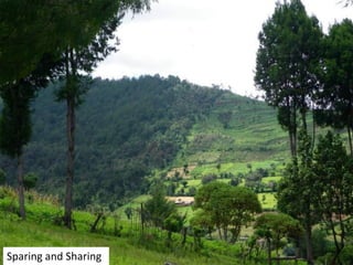 Implications for sparing, sharing and caring