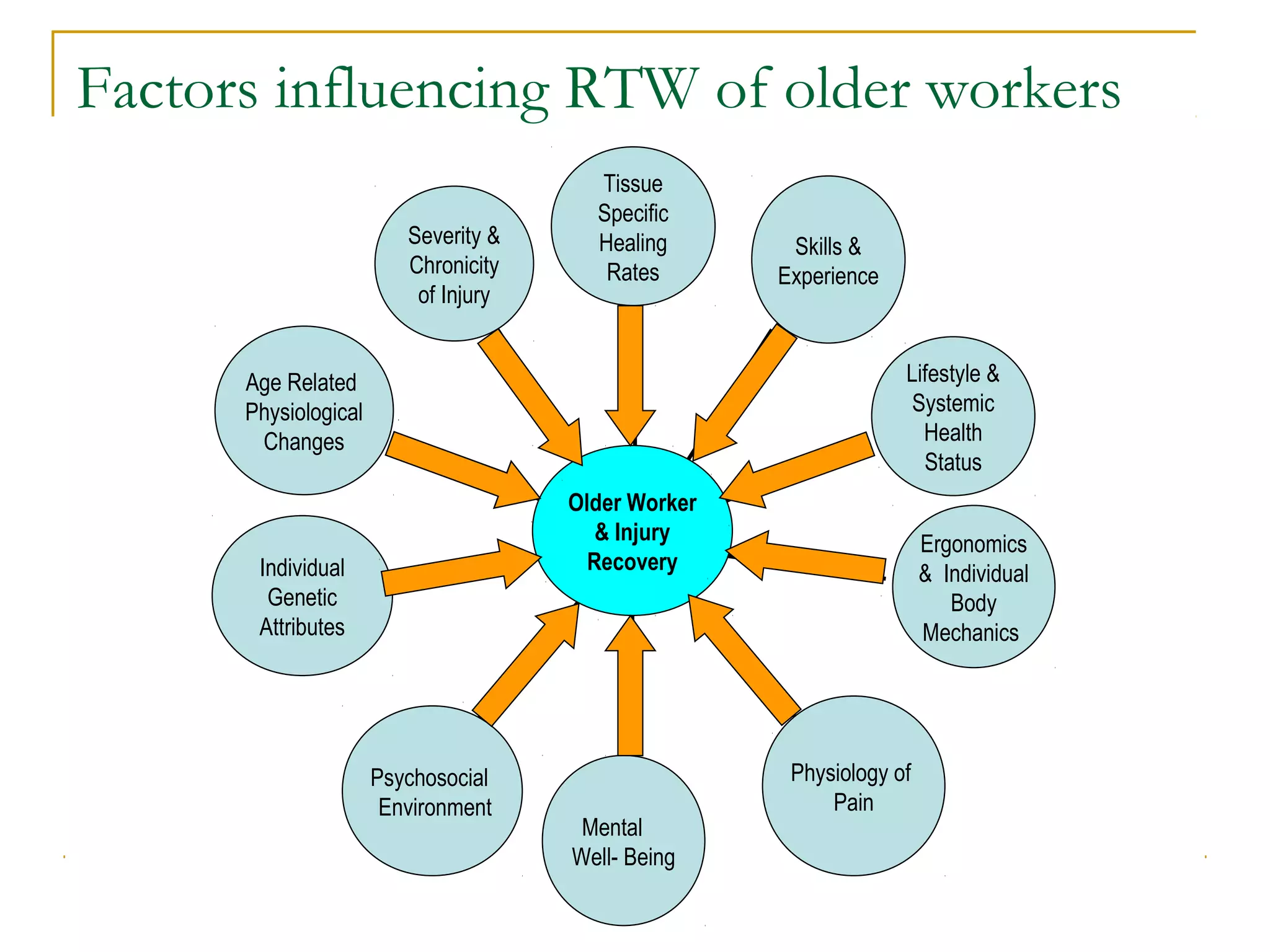 Factors influencing RTW of older workers
                                        Tissue
                                        Specific
                         Severity &     Healing       Skills &
                         Chronicity      Rates       Experience
                          of Injury


      Age Related                                                 Lifestyle &
      Physiological                                                Systemic
       Changes                                                      Health
                                                                    Status
                                      Older Worker
                                         & Injury                     Ergonomics
       Individual                       Recovery                      & Individual
        Genetic                                                          Body
       Attributes                                                     Mechanics




                      Psychosocial                    Physiology of
                       Environment                        Pain
                                       Mental
                                      Well- Being
 