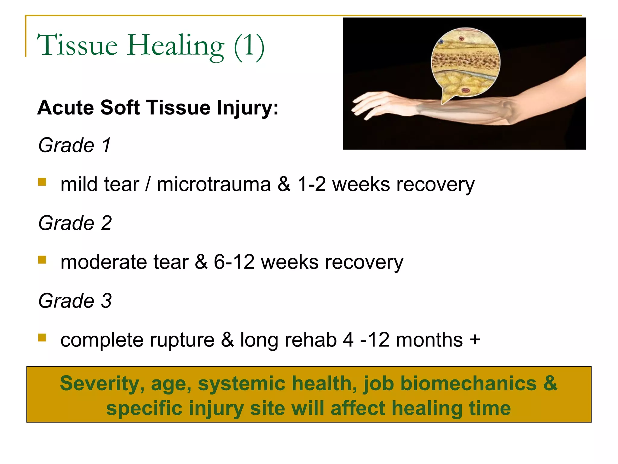 Tissue Healing (1)
Acute Soft Tissue Injury:
Grade 1
   mild tear / microtrauma & 1-2 weeks recovery
Grade 2
   moderate tear & 6-12 weeks recovery
Grade 3
   complete rupture & long rehab 4 -12 months +

    Severity, age, systemic health, job biomechanics &
        specific injury site will affect healing time
 