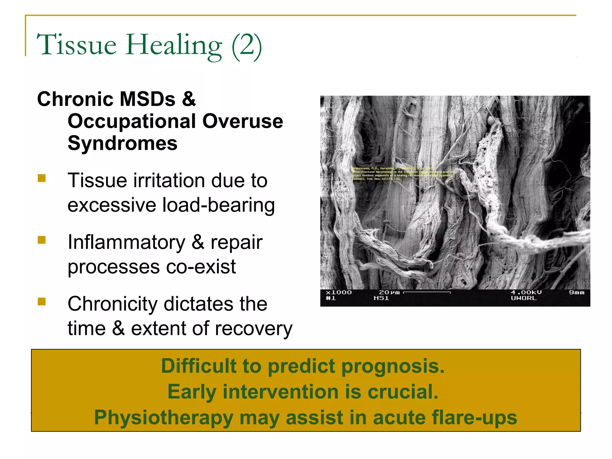 Tissue Healing (2)
Chronic MSDs &
  Occupational Overuse
  Syndromes
   Tissue irritation due to
    excessive load-bearing
   Inflammatory & repair
    processes co-exist
   Chronicity dictates the
    time & extent of recovery
             Difficult to predict prognosis.
              Early intervention is crucial.
       Physiotherapy may assist in acute flare-ups
 