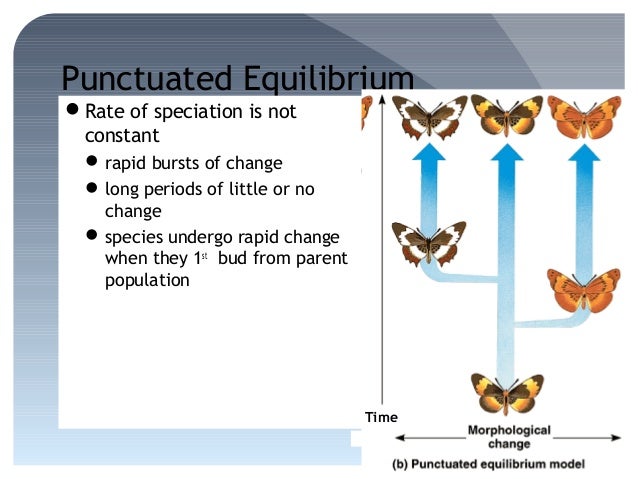 Why Is Natural Selection Not Goal Oriented Why Is Natural Selection Not Goal Oriented