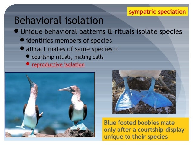 Natural Selection Variation Isolation And Selection Natural Selection Variation Isolation And Selection