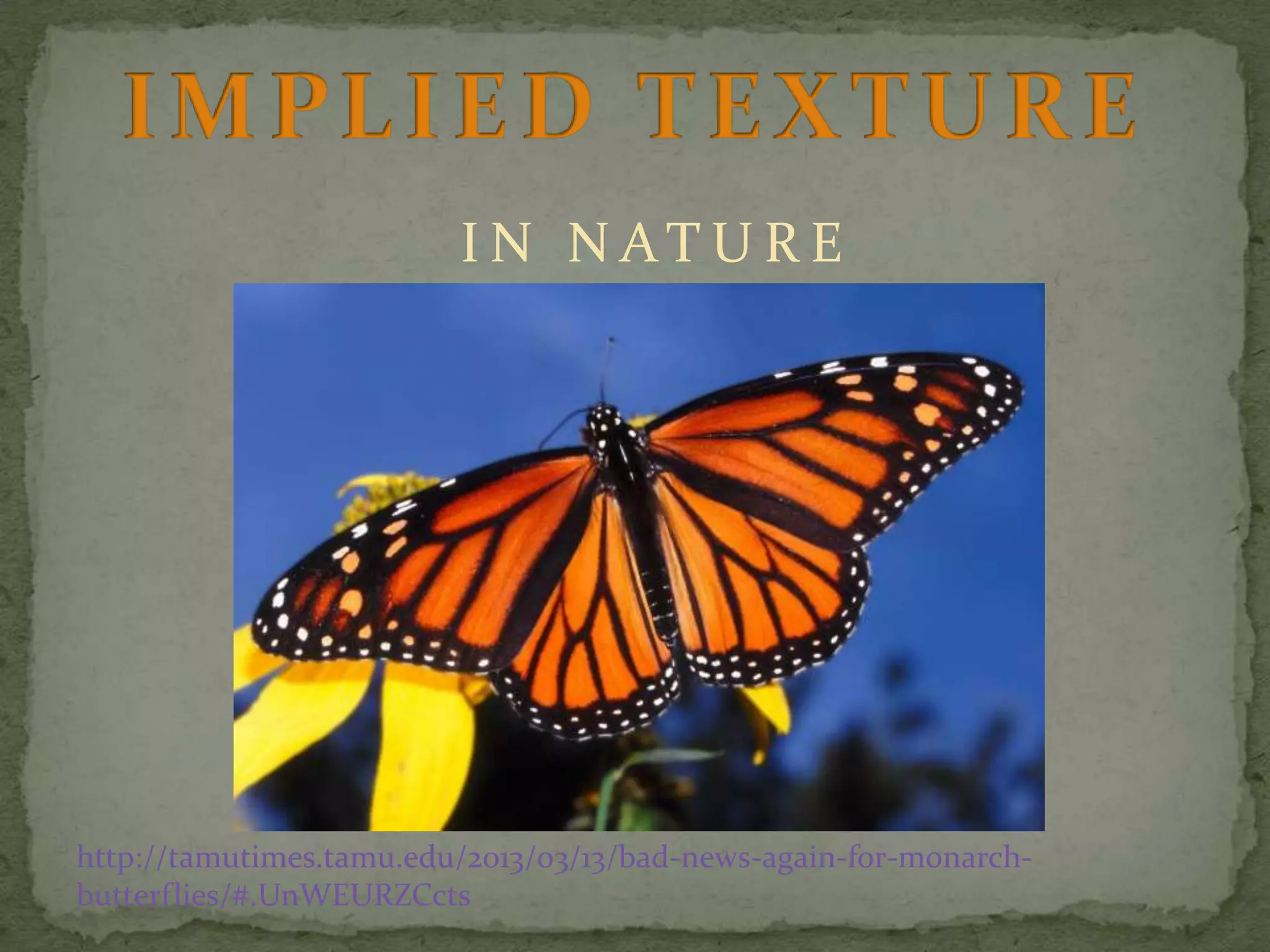 I N N AT U R E

http://tamutimes.tamu.edu/2013/03/13/bad-news-again-for-monarchbutterflies/#.UnWEURZCcts

 