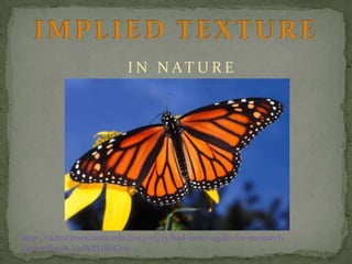 I N N AT U R E

http://tamutimes.tamu.edu/2013/03/13/bad-news-again-for-monarchbutterflies/#.UnWEURZCcts

 