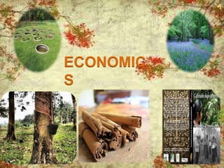 ECONOMIC
S
 
