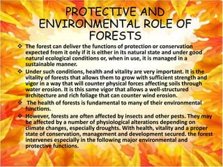 PROTECTIVE AND
ENVIRONMENTAL ROLE OF
FORESTS
 The forest can deliver the functions of protection or conservation
expected from it only if it is either in its natural state and under good
natural ecological conditions or, when in use, it is managed in a
sustainable manner.
 Under such conditions, health and vitality are very important. It is the
vitality of forests that allows them to grow with sufficient strength and
vigor in a way that will counter physical forces affecting soils through
water erosion. It is this same vigor that allows a well-structured
architecture and rich foliage that can counter wind erosion.
 The health of forests is fundamental to many of their environmental
functions.
 However, forests are often affected by insects and other pests. They may
be affected by a number of physiological alterations depending on
climate changes, especially droughts. With health, vitality and a proper
state of conservation, management and development secured. the forest
intervenes especially in the following major environmental and
protective functions.
 