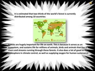 It is estimated that two-thirds of the world's forest is currently
distributed among 10 countries:
Forests are hugely important for life on earth. This is because it serves as an
ecosystem, and sustains life for millions of animals, birds and animals that live in the
rivers and streams running through these forests. It also does a lot of good to the
atmosphere in climate control, as well as supplying oxygen for human sustenance.
 