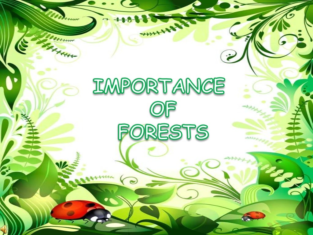 Important of forests
