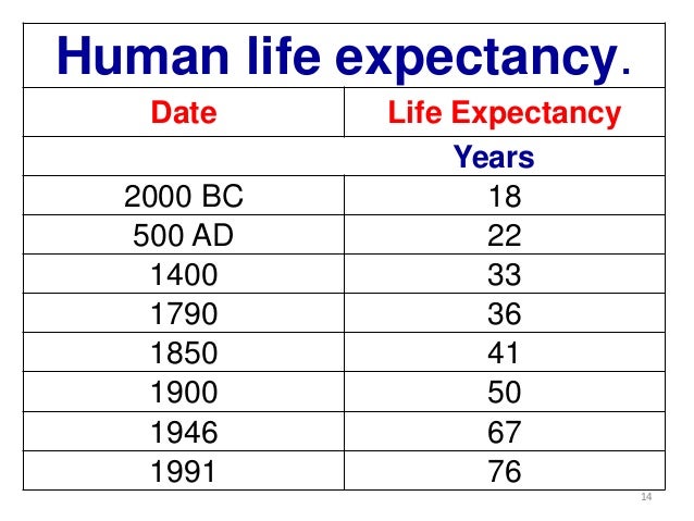 What Was The Average Life Expectancy In 1200 www.slideshare.net
