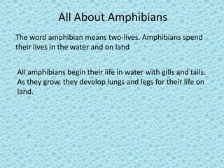 All About Amphibians
The word amphibian means two-lives. Amphibians spend
their lives in the water and on land


All amphibians begin their life in water with gills and tails.
As they grow, they develop lungs and legs for their life on
land.
 