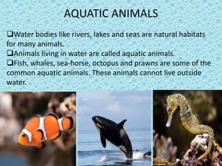AQUATIC ANIMALS
Water bodies like rivers, lakes and seas are natural habitats
for many animals.
Animals living in water are called aquatic animals.
Fish, whales, sea-horse, octopus and prawns are some of the
common aquatic animals. These animals cannot live outside
water.
 