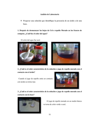 Análisis de Laboratorio
 Preparar una solución que identifique la presencia de un ácido o de una
base.

1. Después de desmenuzar las hojas de Col o repollo Morado en los frascos de
compota. ¿Cuál fue el color del agua?

El color del agua fue azul.

2. ¿Cuál es el color característico de la solución o jugo de repollo morado con el
contacto con el ácido?

Cuando el jugo de repollo entra en contacto
con ácidos se torna rojo.

3. ¿Cuál es el color característico de la solución o jugo de repollo morado con el
contacto con la base?

El jugo de repollo morado en un medio básico
se torna de color verde o azul.

15

 