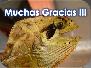 Valor del bienestar animal 