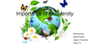 Importance of Biodiversity
Presented by:
Nabin Poudel
Satyam Chaudhari
CDES, TU
 