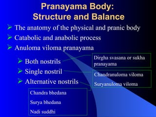 Pranayama Body:
Structure and Balance
 The anatomy of the physical and pranic body
 Catabolic and anabolic process
 Anuloma viloma pranayama
 Both nostrils
 Single nostril
 Alternative nostrils
Dirgha svasana or sukha
pranayama
Chandranuloma viloma
Suryanuloma viloma
Chandra bhedana
Surya bhedana
Nadi suddhi
 