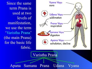 Since the same
term Prana is
used at two
levels of
manifestation,
we use the term
‘Varistha Prana’
(the main Prana)
for the basic life
fabric.
Apana Samana Prana Udana Vyana
Varistha Prana
 