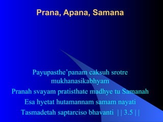 Prana, Apana, Samana
Payupasthe’panam caksuh srotre
mukhanasikabhyam
Pranah svayam pratisthate madhye tu Samanah
Esa hyetat hutamannam samam nayati
Tasmadetah saptarciso bhavanti | | 3.5 | |
 