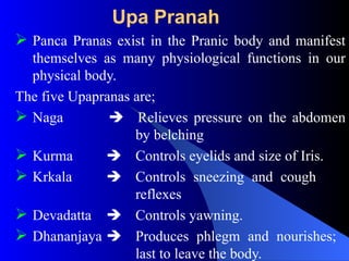 Upa Pranah
 Panca Pranas exist in the Pranic body and manifest
themselves as many physiological functions in our
physical body.
The five Upapranas are;
 Naga  Relieves pressure on the abdomen
by belching
 Kurma  Controls eyelids and size of Iris.
 Krkala  Controls sneezing and cough
reflexes
 Devadatta  Controls yawning.
 Dhananjaya  Produces phlegm and nourishes;
last to leave the body.
 