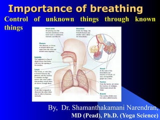 Importance of breathing
Importance of breathing
By, Dr. Shamanthakamani Narendran,
MD (Pead), Ph.D. (Yoga Science)
Control of unknown things through known
things
 