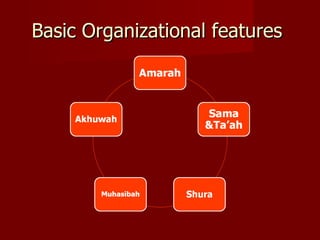 Basic Organizational features
 