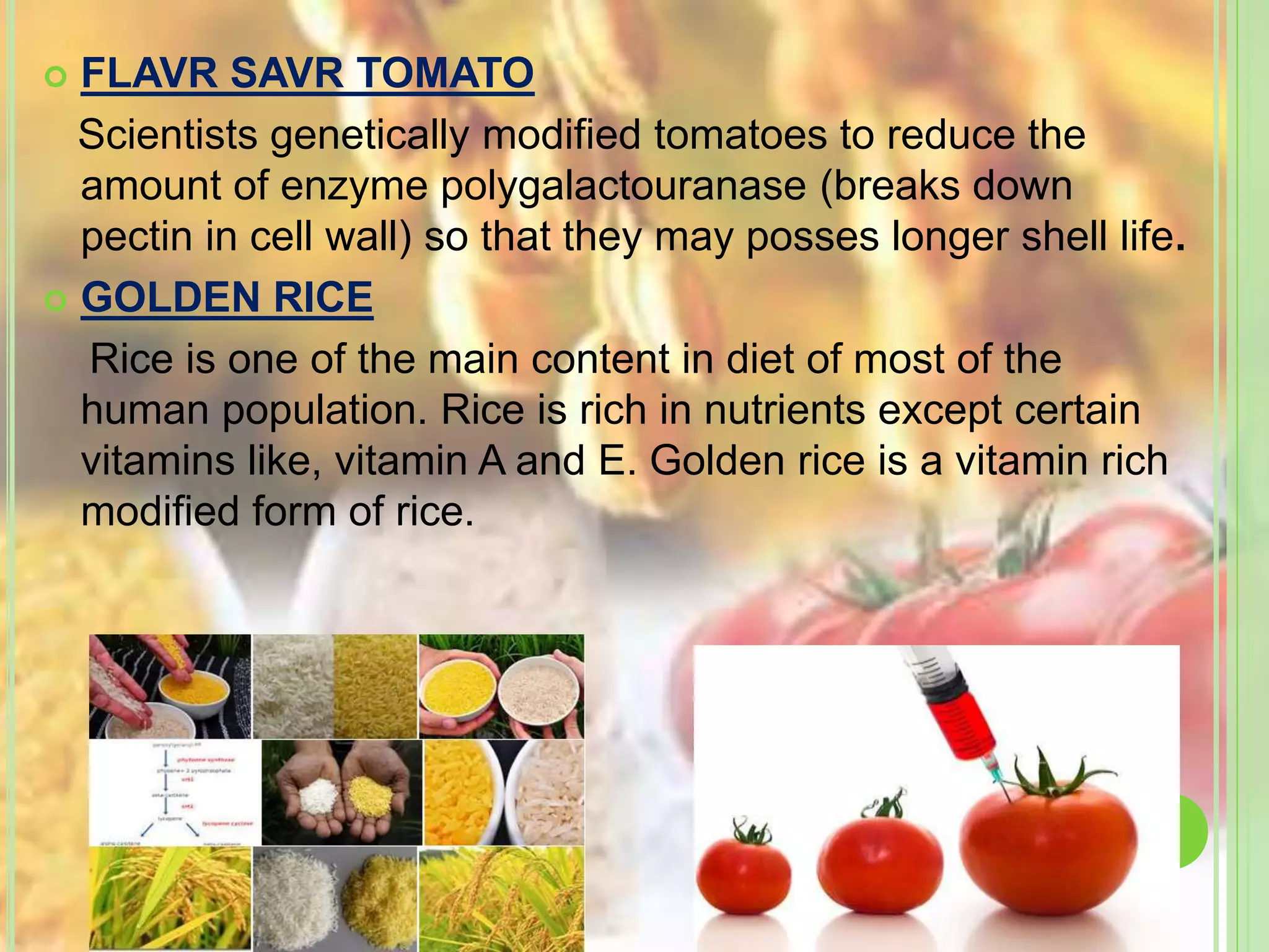  FLAVR SAVR TOMATO
Scientists genetically modified tomatoes to reduce the
amount of enzyme polygalactouranase (breaks down
pectin in cell wall) so that they may posses longer shell life.
 GOLDEN RICE
Rice is one of the main content in diet of most of the
human population. Rice is rich in nutrients except certain
vitamins like, vitamin A and E. Golden rice is a vitamin rich
modified form of rice.
 