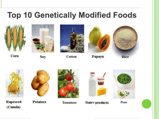 what is biotechnology in food processing