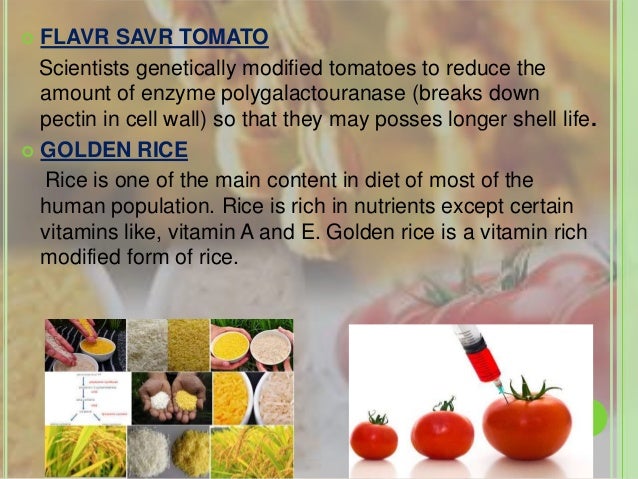 what is the importance of food biotechnology