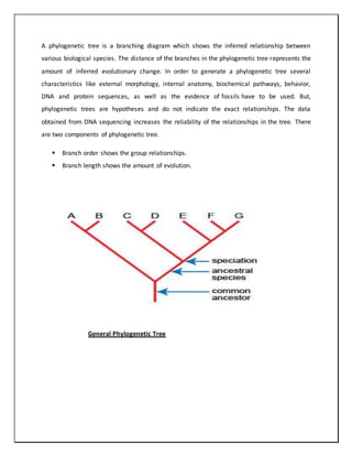 Importance and Applications  of Systematics evolution