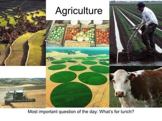 Importance of agriculture 2 | PPT