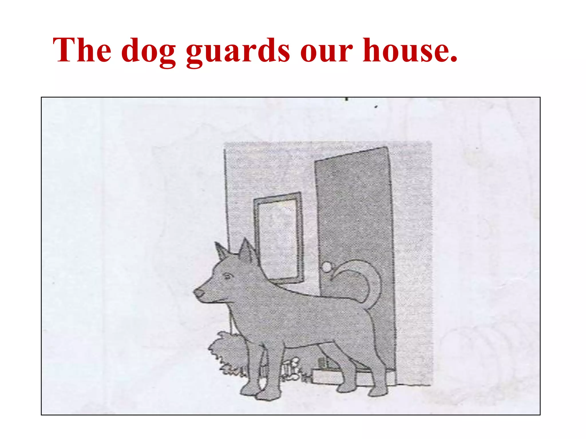 The dog guards our house.
 