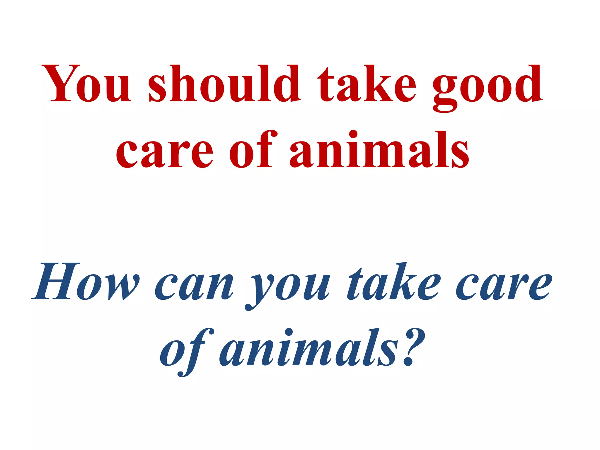 You should take good
care of animals
How can you take care
of animals?
 