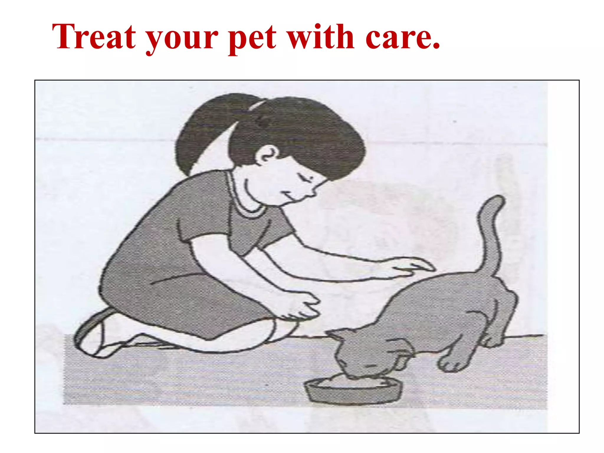 Treat your pet with care.
 