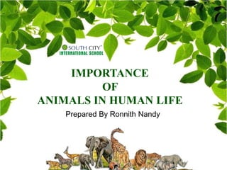 IMPORTANCE
OF
ANIMALS IN HUMAN LIFE
Prepared By Ronnith Nandy
 