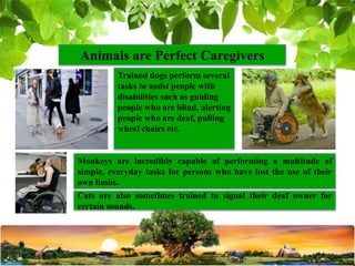 Importance of Animals in Human Life