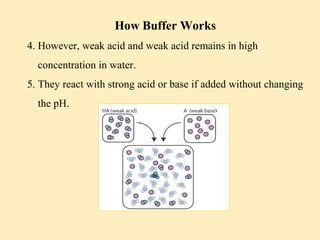 Importance of Biochemistry Final | PPT