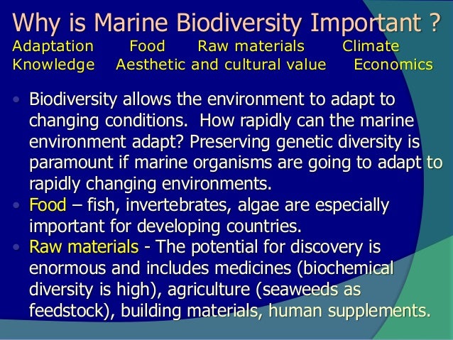 Importance Of Biodiversity